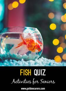 Fish Quiz