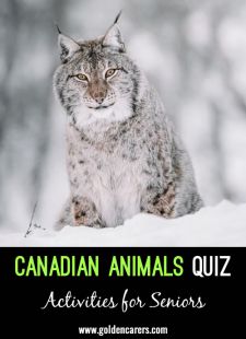 Name the Canadian Animals Quiz