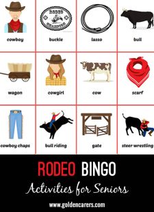 Rodeo Bingo