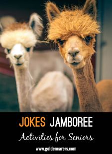 Joke Jamboree #1