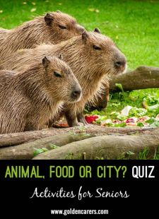 Quiz - Animal, Food or City?