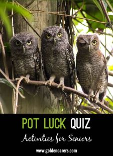 Pot Luck Quiz 47