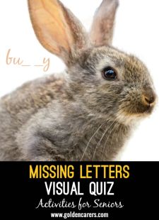 Missing Letters Visual Quiz