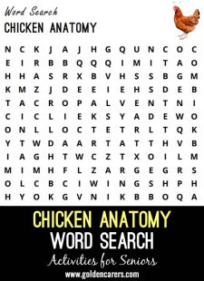 Chicken Anatomy Word Search