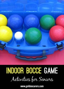 Indoor Bocce Game