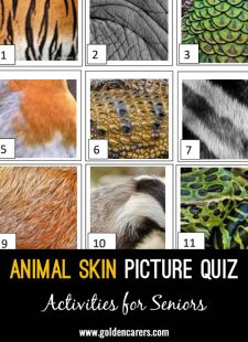 Animal Skin Picture Quiz 