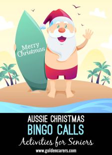Australian Christmas Bingo Calls
