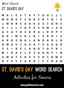  St. David's Day Word Search