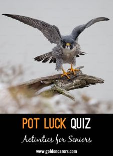Pot Luck Quiz 62