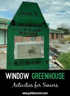 Window Greenhouse 