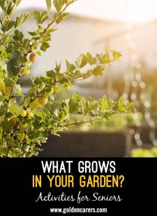 What Grows in Your Garden? Reminiscing Activity
