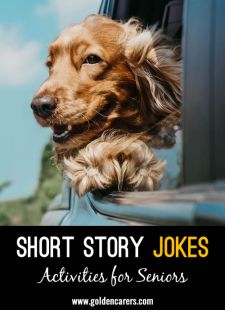 Short Story Jokes #16