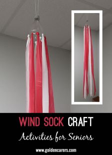 Wind Socks Craft