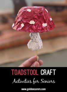 Toadstool Craft