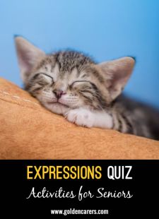 Expressions Quiz