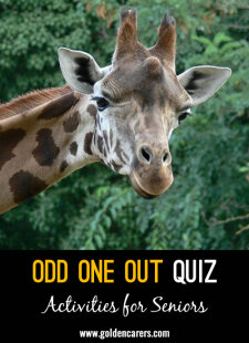 Quizzes for Seniors &amp; the Elderly