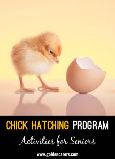 Chick Hatching Program for Seniors