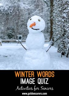 Winter Words Image Quiz