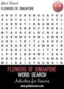 Singapore Word Search