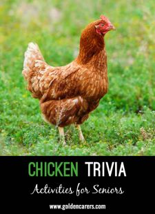 Chicken Trivia