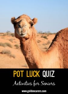 Pot Luck Quiz 79 (Easy)