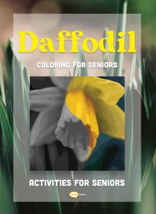 3x Daffodil Coloring Templates