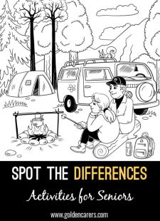 Spot the Differences - Camping
