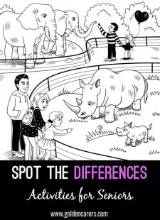 Spot the Differences - Zoo Visit