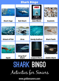 Shark Bingo