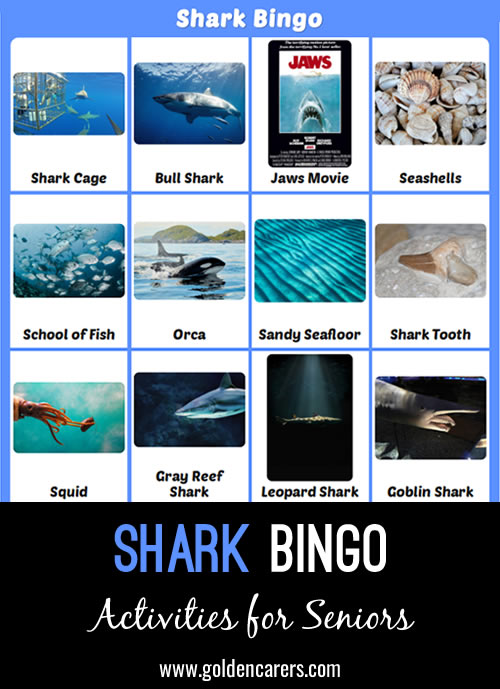 Shark Bingo