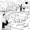 Spot the Differences - Zoo Visit