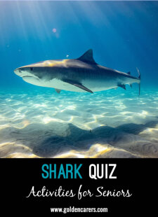 Shark Quiz