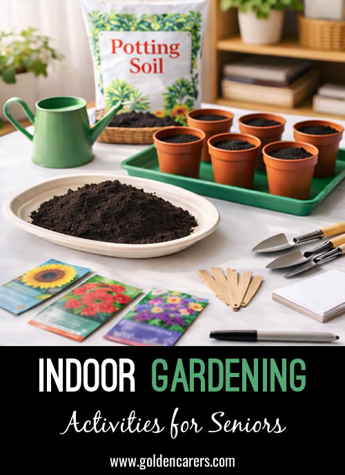 Indoor Gardening for Seniors