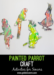Painted Parrot Craft