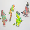 Painted Parrot Craft