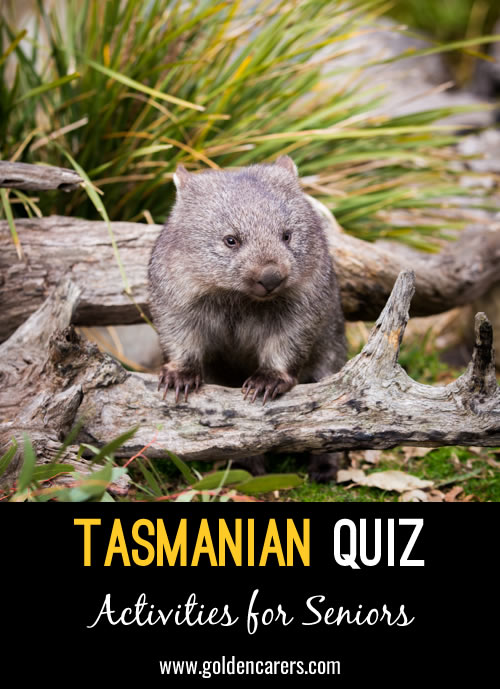 Tasmanian Quiz