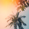 Finish the Lyric - Summertime Edition