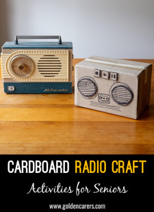 Cardboard Radio Craft