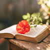 Bible Quiz #2