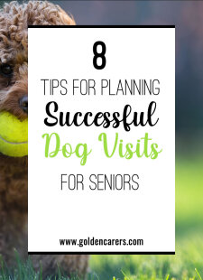 8 Tips for Planning Successful Dog Visits for Seniors