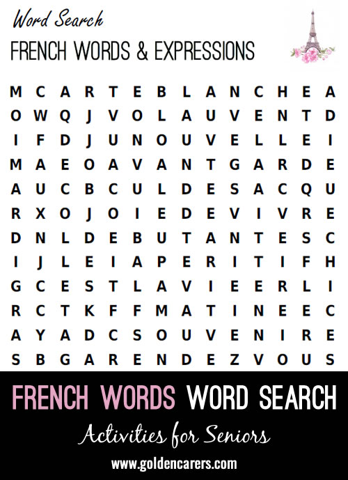 French Word Finder