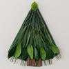 Evergreen Christmas Trees 