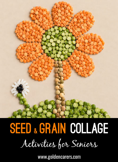 Seed and Grain Collage