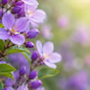 Understanding Dementia: Alzheimer's Disease vs Dementia