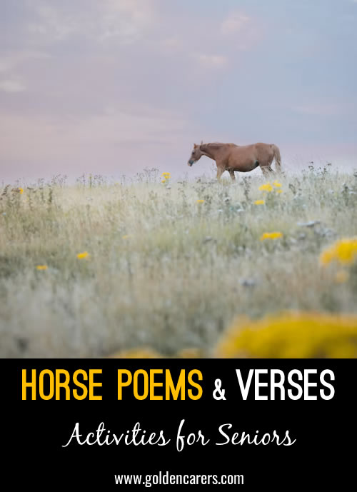 Horse Poems & Verses