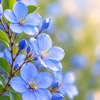How to Plan an Annual Event for Senior Living