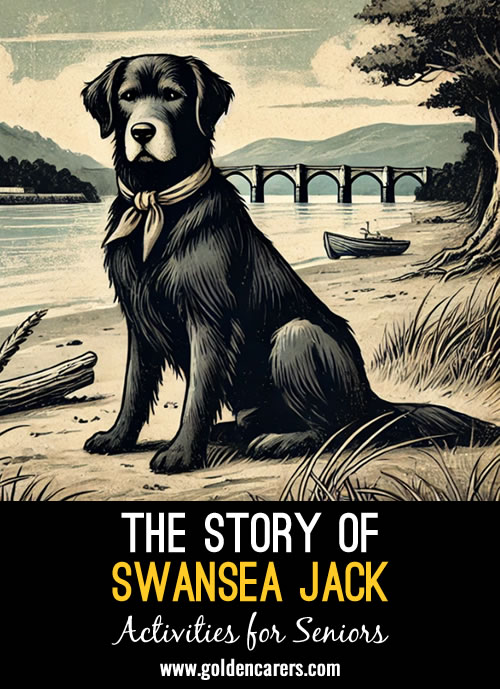 The Life Saver: The Story of Swansea Jack