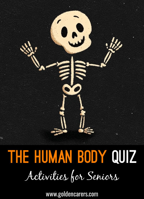 Human Body Quiz