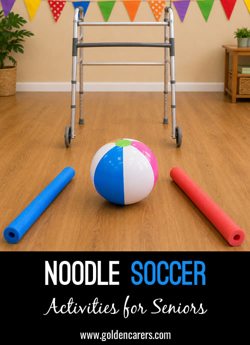 Noodle Soccer