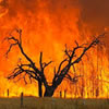 Meteorology Quiz